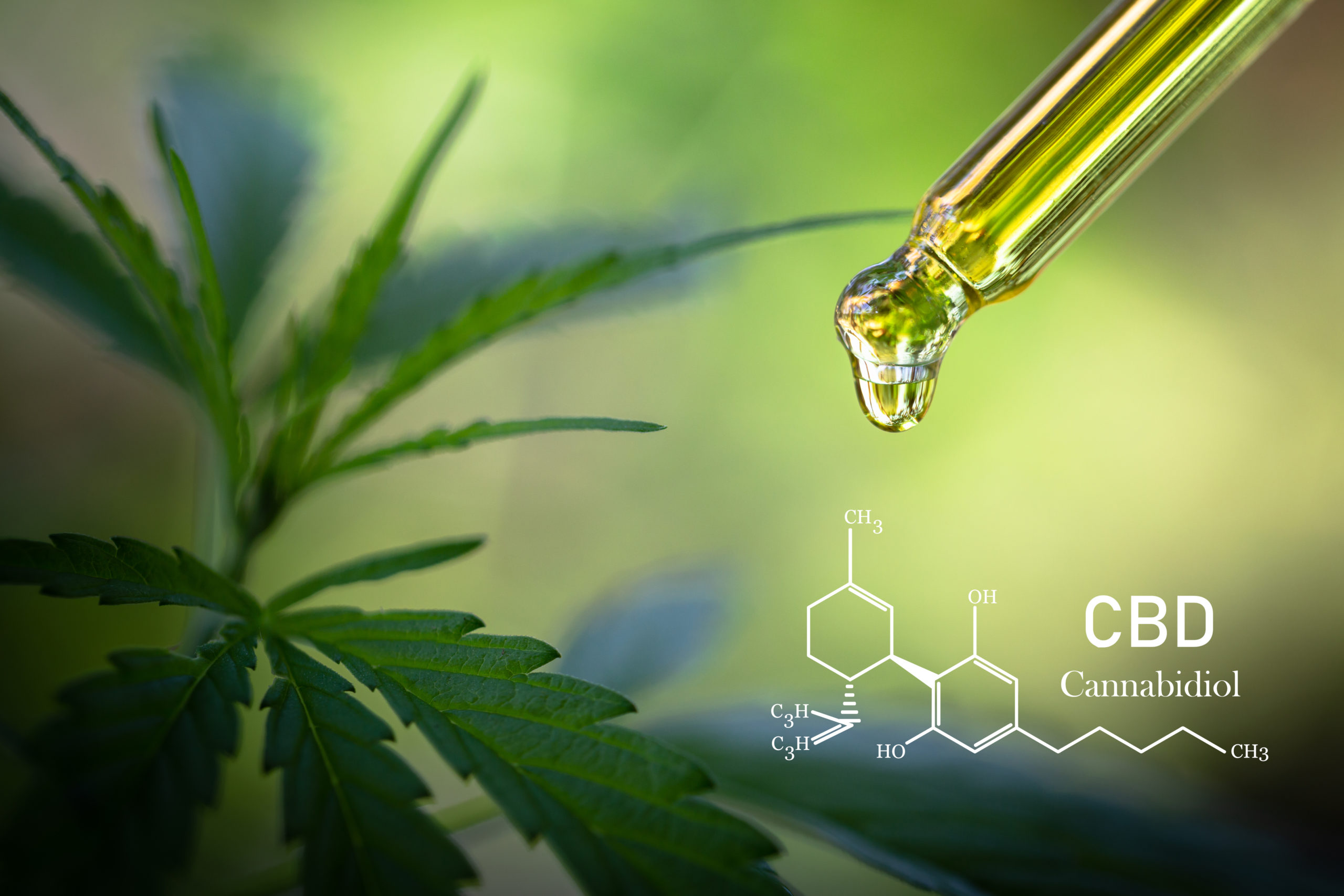 Exploring the Science Behind CBD: More Than Just a Trend